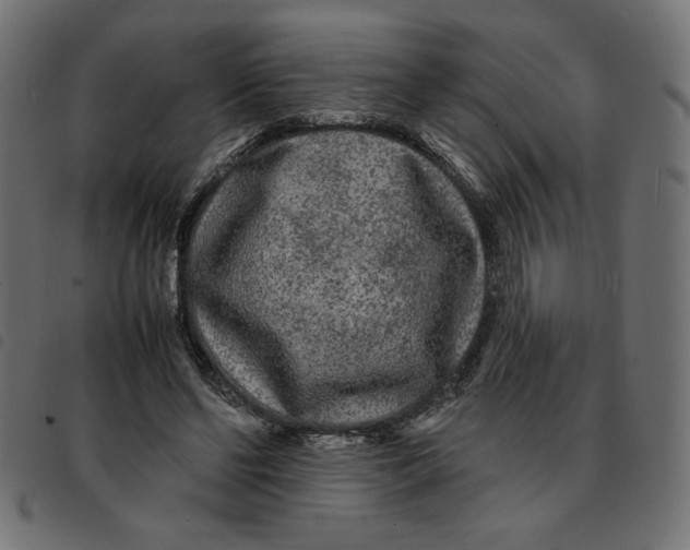 X0000092210494200710121132