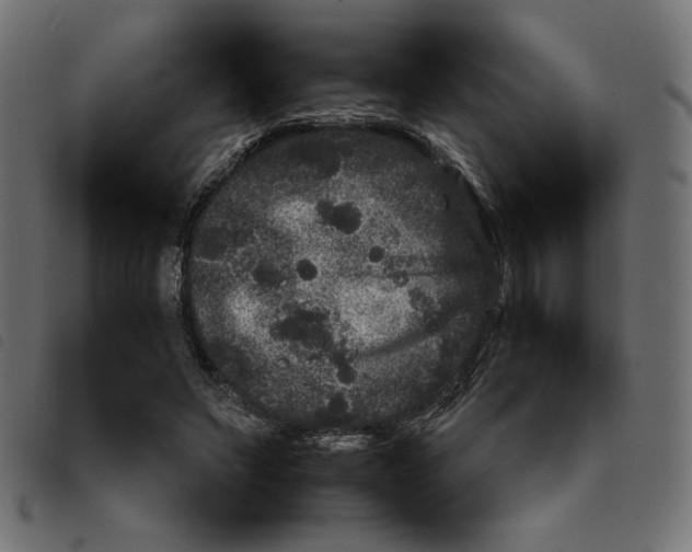 X0000092210495200710121132