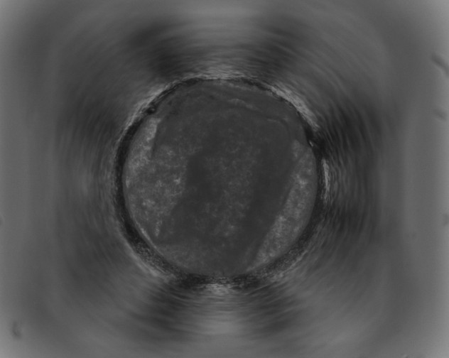 X0000092210496200710121132