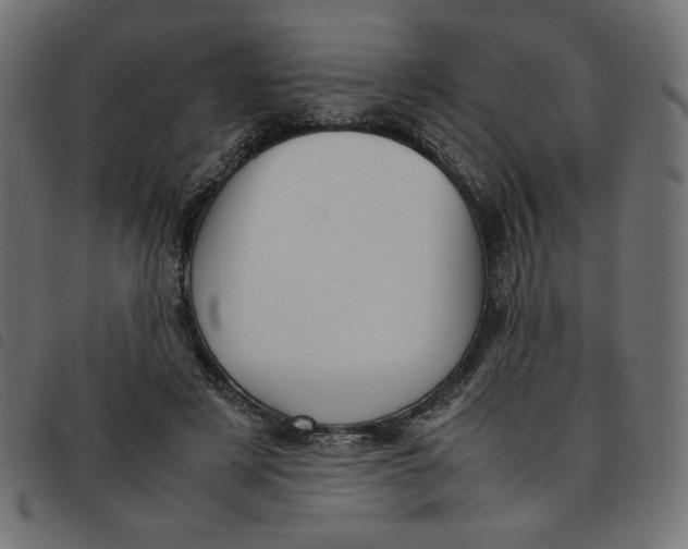 X0000092210497200710121132