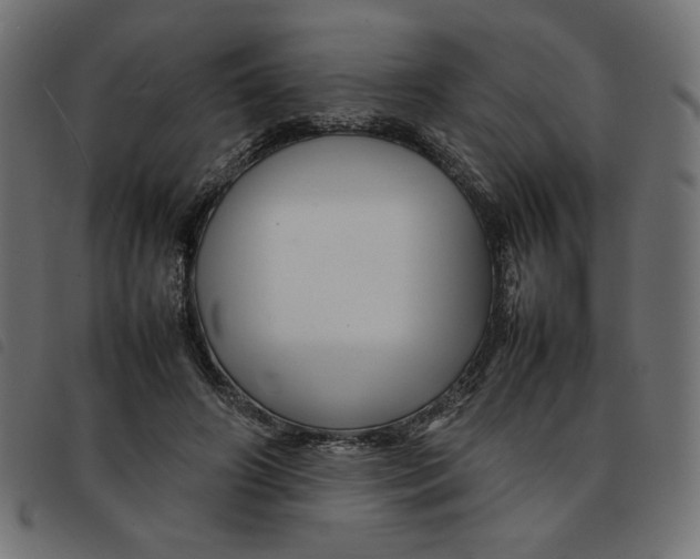 X0000092210498200710121132
