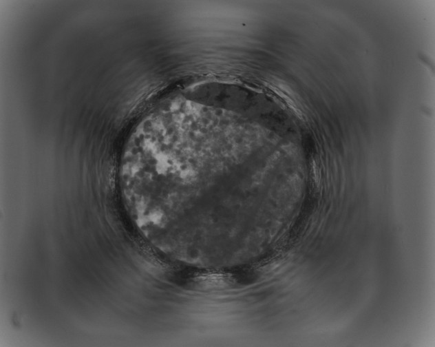 X0000092210499200710121132