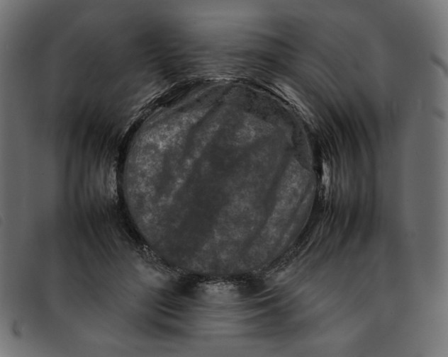 X0000092210500200710121132