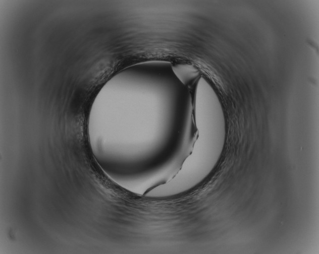 X0000092210501200710121132