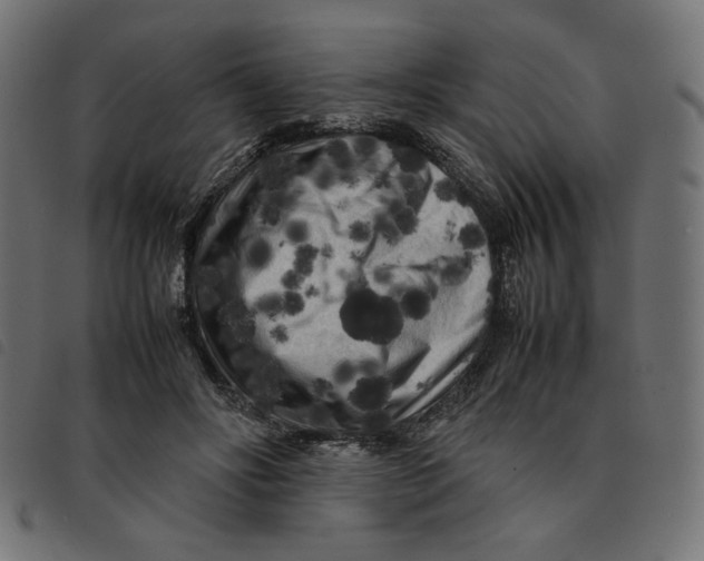 X0000092210502200710121132