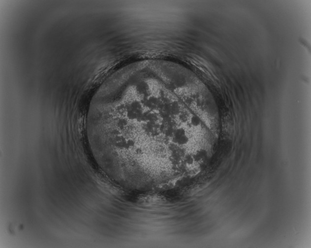 X0000092210503200710121132