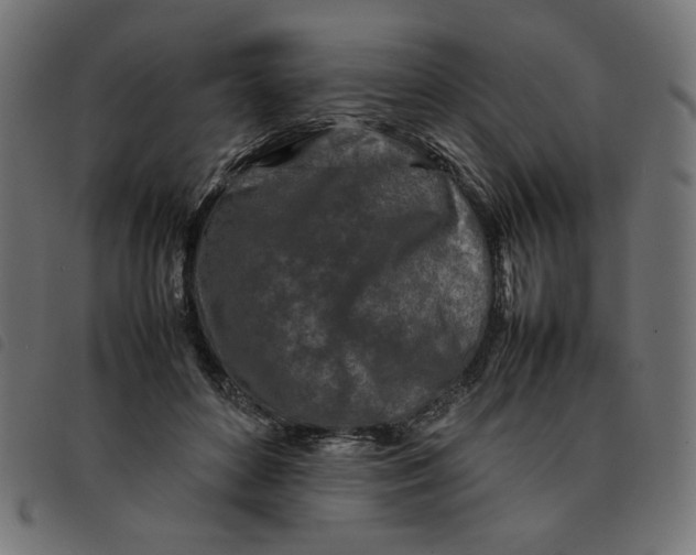 X0000092210504200710121132