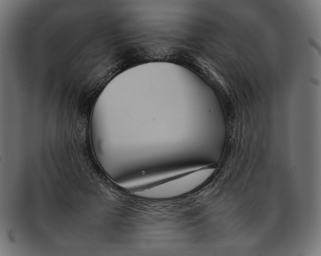X0000092210505200710121132