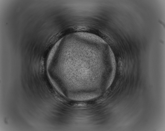 X0000092210506200710121132