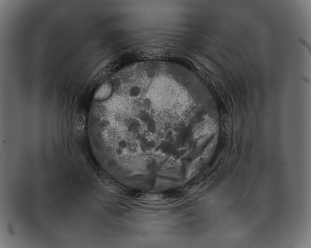 X0000092210507200710121132