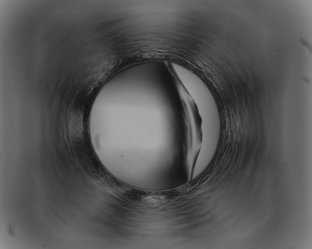 X0000092210508200710121132