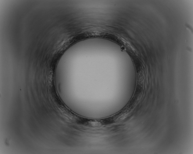 X0000092210509200710121132