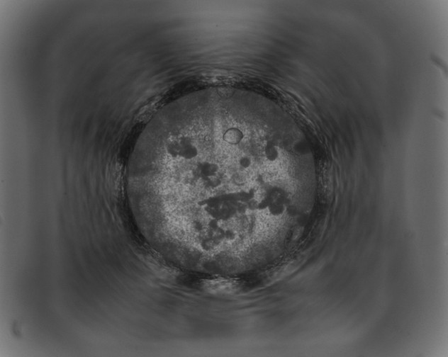 X0000092210511200710121132