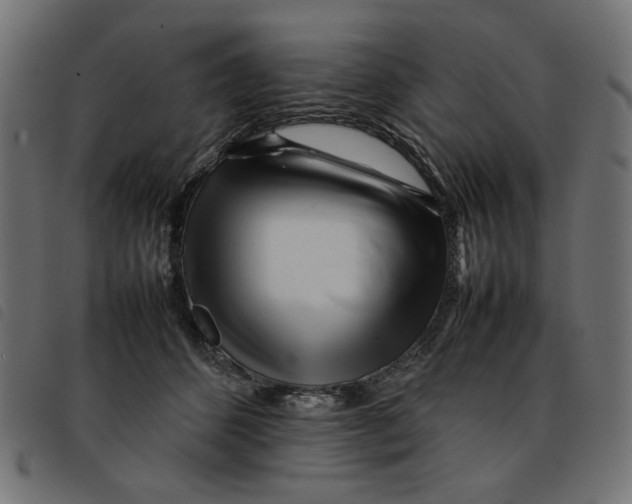 X0000092210512200710121132