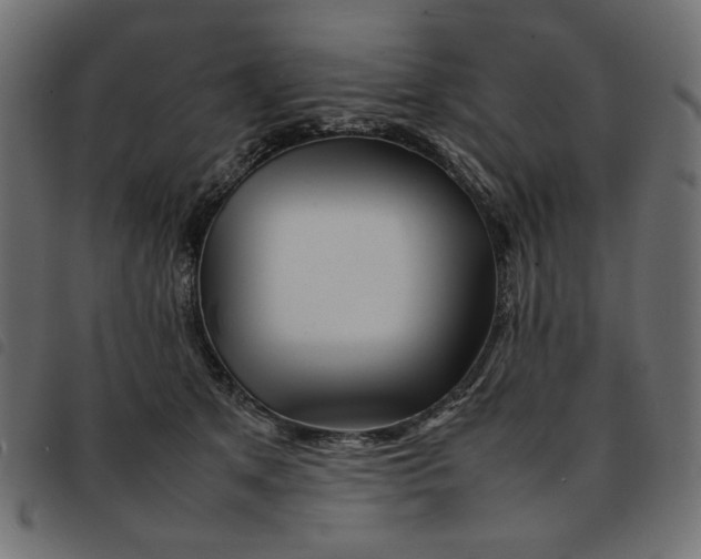 X0000092210513200710121132