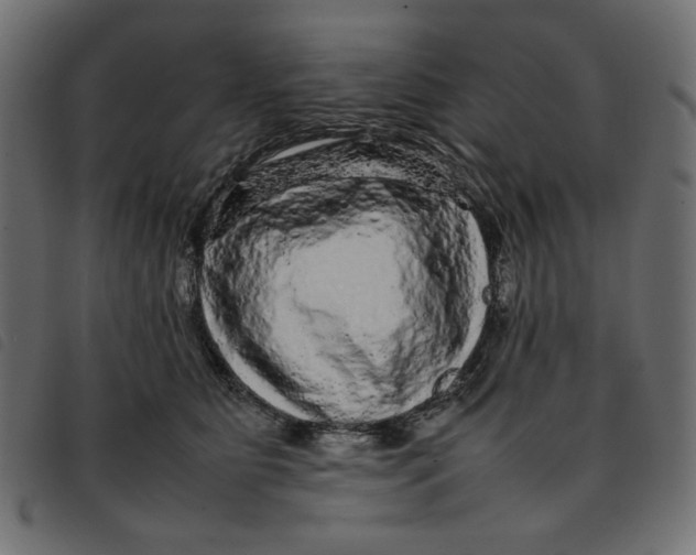 X0000092210515200710121132