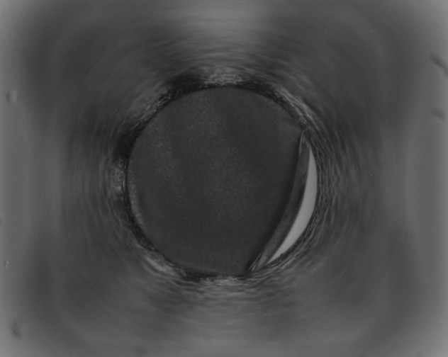 X0000092210517200710121131