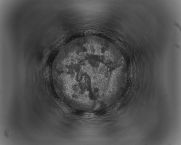 X0000092210519200710121131