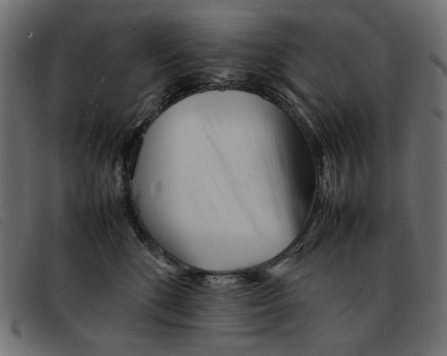 X0000092210520200710121131