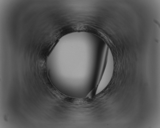 X0000092210521200710121131