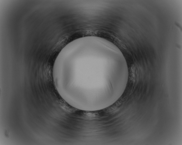 X0000092210522200710121131