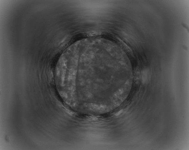 X0000092210523200710121131