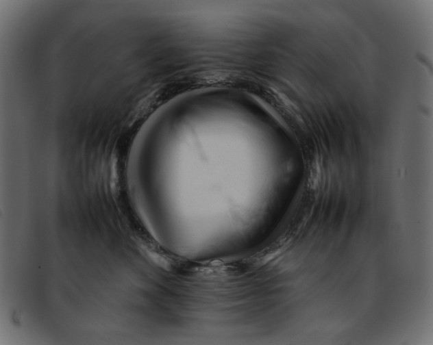 X0000092210524200710121131