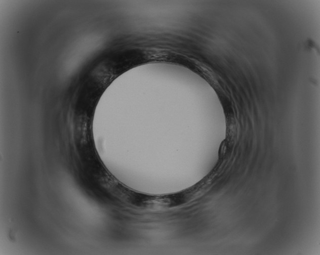 X0000092210525200710121131