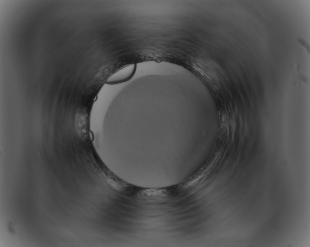 X0000092210526200710121131