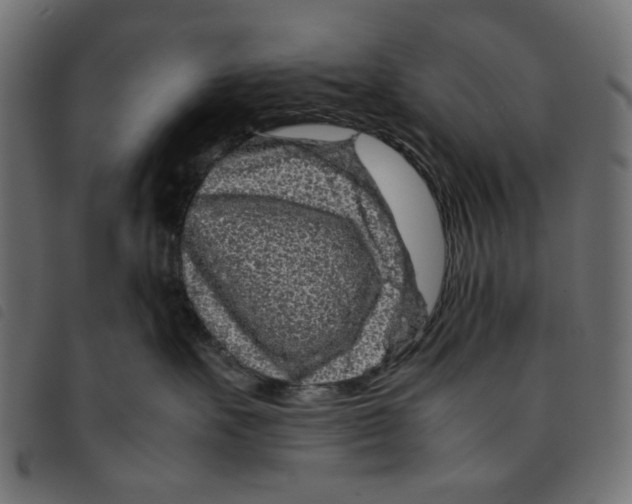 X0000092210527200710121131