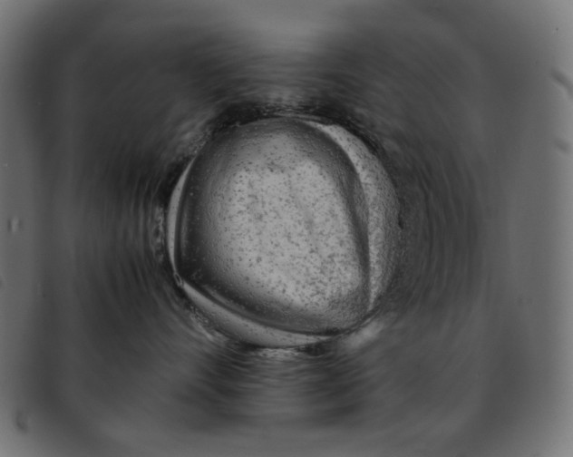 X0000092210528200710121131
