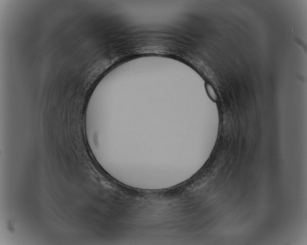 X0000092210529200710121131