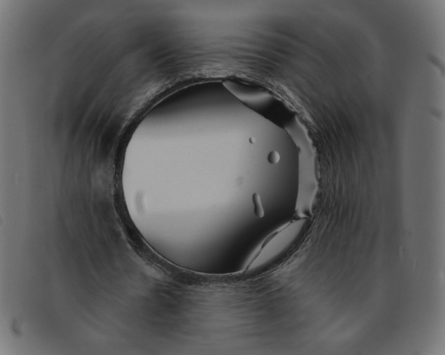 X0000092210530200710121131