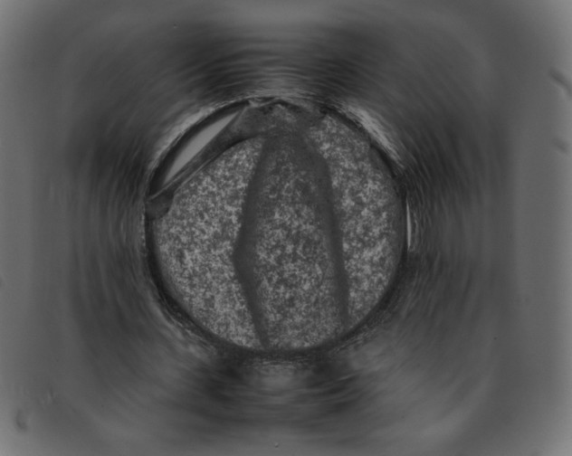 X0000092210531200710121131