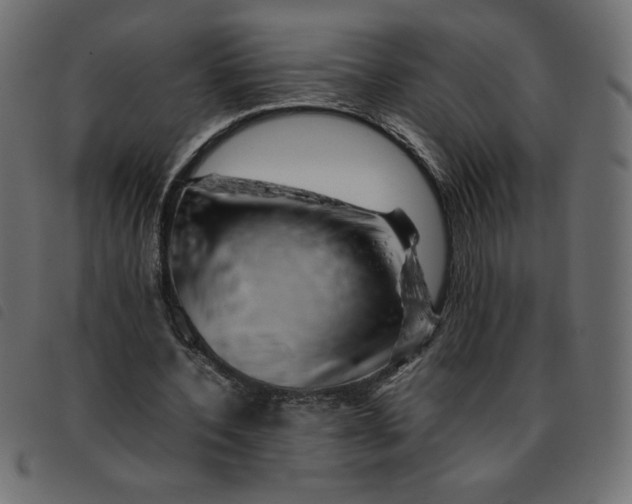 X0000092210532200710121131