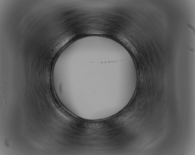X0000092210533200710121131