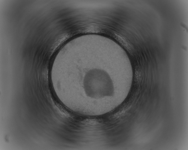 X0000092210534200710121131