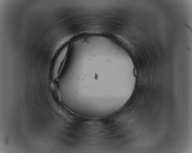 X0000092210535200710121131