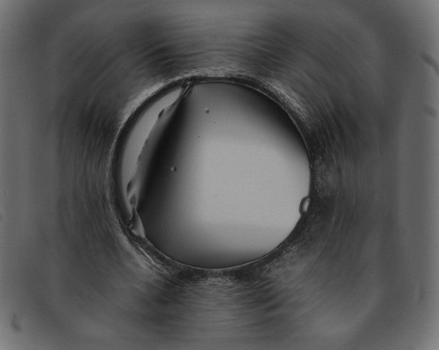 X0000092210536200710121131