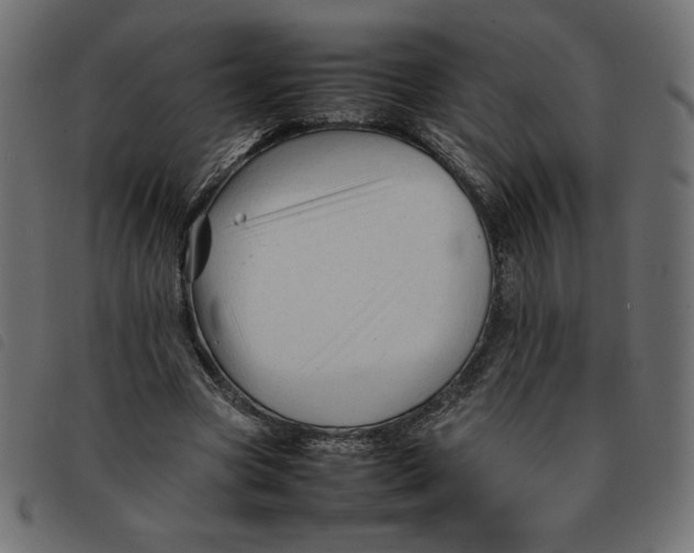 X0000092210537200710121131