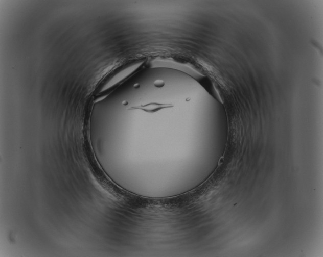 X0000092210538200710121131