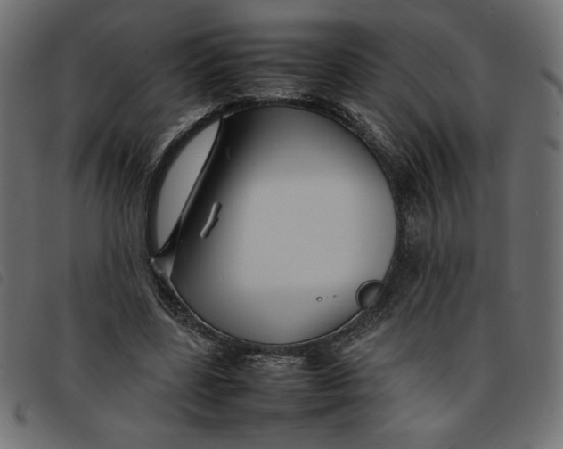 X0000092210539200710121131