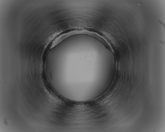 X0000092210540200710121131