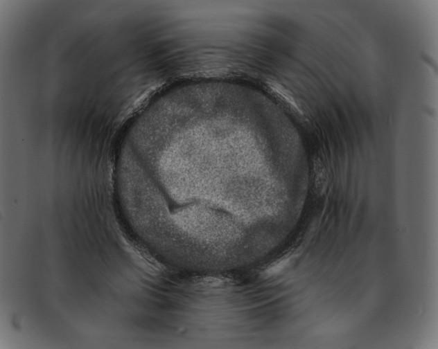X0000092210542200710121131