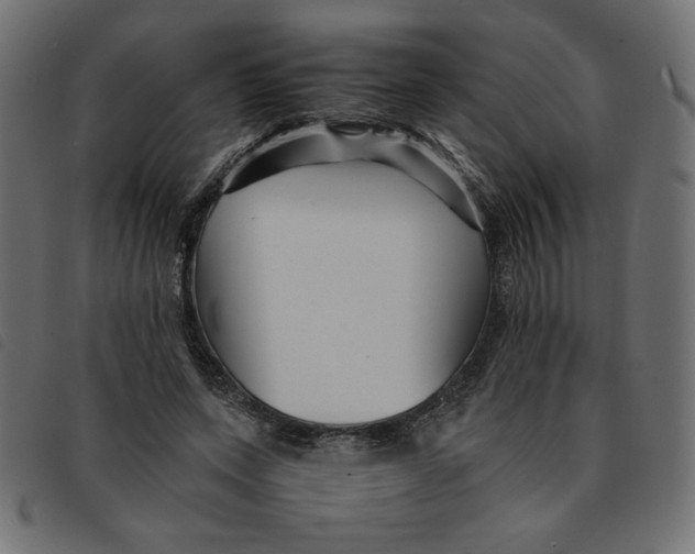 X0000092210543200710121131