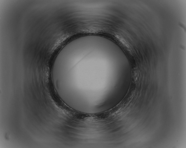 X0000092210544200710121131