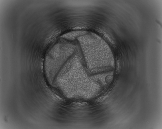 X0000092210545200710121131