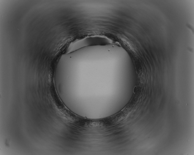 X0000092210546200710121131
