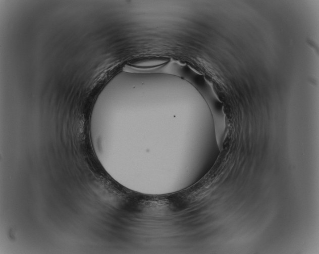 X0000092210548200710121131