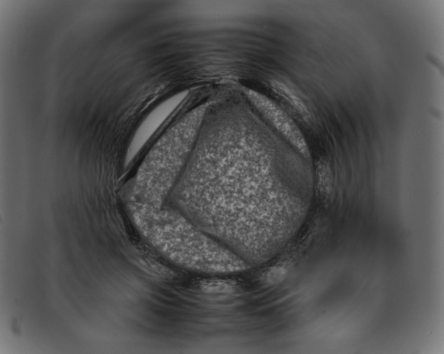 X0000092210549200710121131